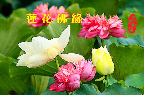 图片13.jpg